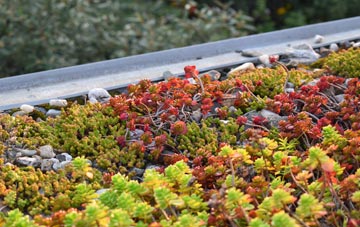 the cost of Shawforth green roof installation