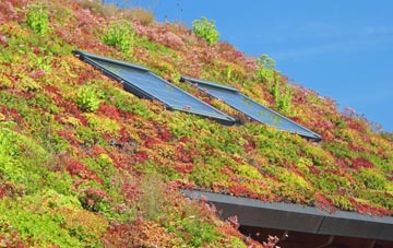 Shawforth living roof systems